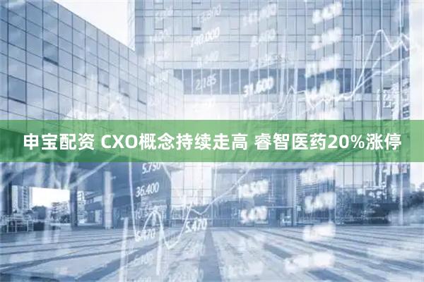 申宝配资 CXO概念持续走高 睿智医药20%涨停